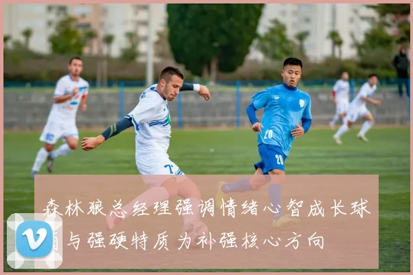 森林狼总经理强调情绪心智成长球商与强硬特质为补强核心方向